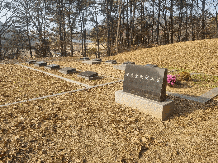 물건 사진 32