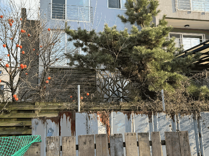 물건 사진 17