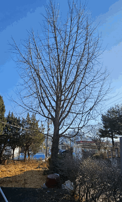 물건 사진 26