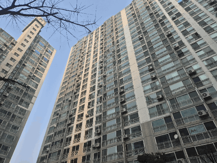 물건 사진 11