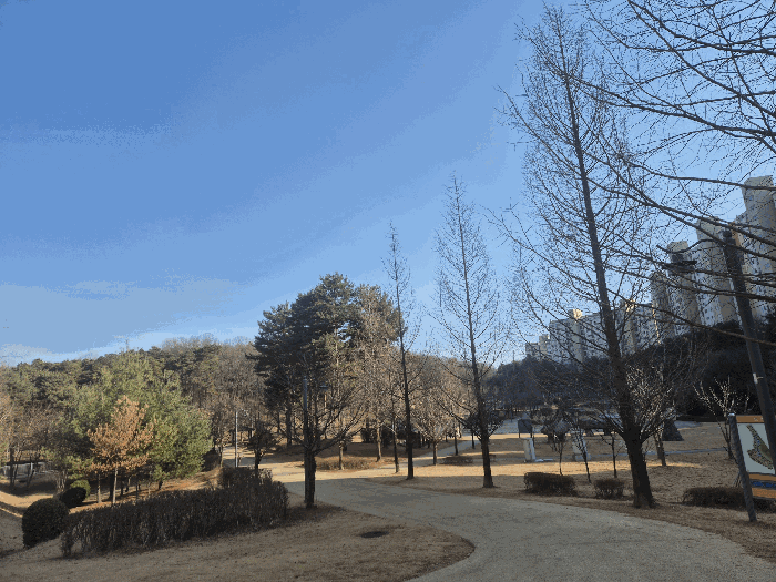 물건 사진 16