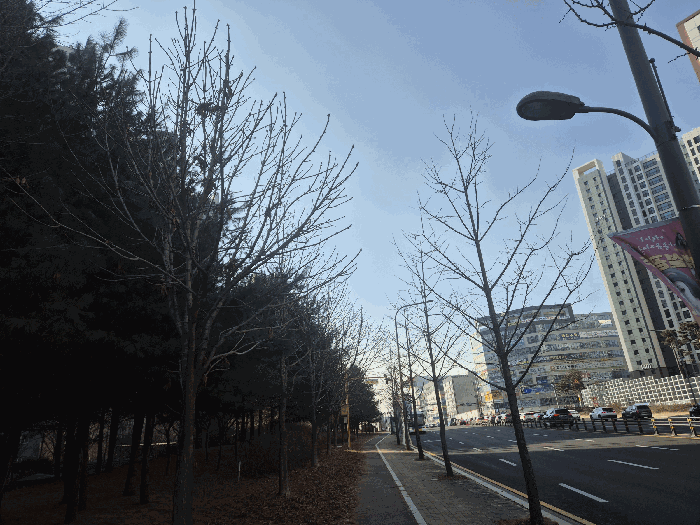 물건 사진 21