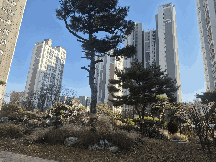 물건 사진 24