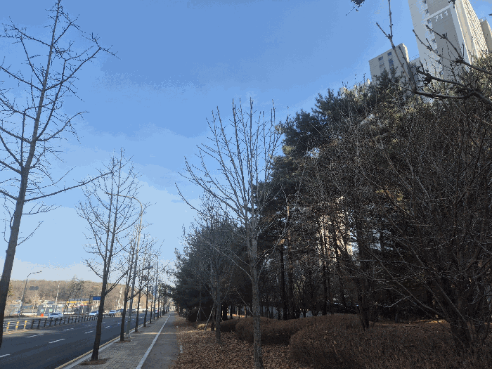 물건 사진 26