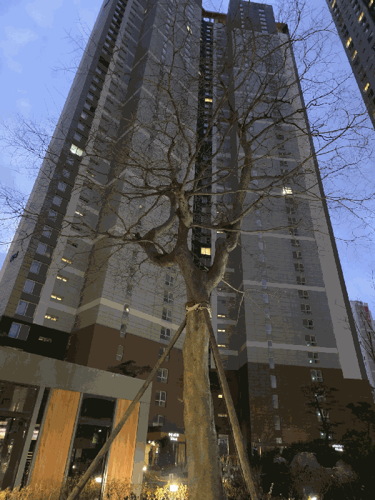 물건 사진 14