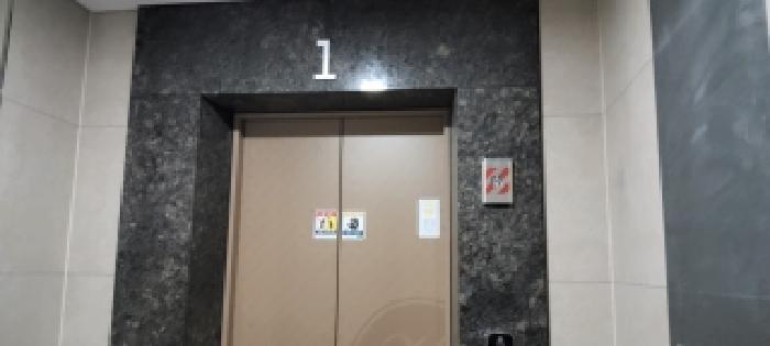 물건 사진 5