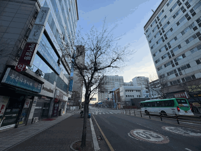 물건 사진 12