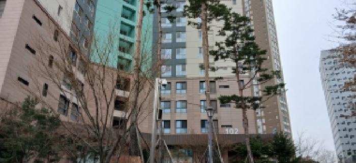 물건 사진 3