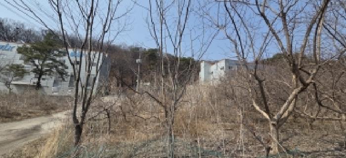 경기도 파주시 검산동 458-1 사진 1