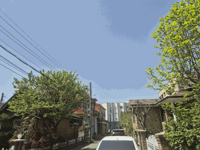 물건 사진 42