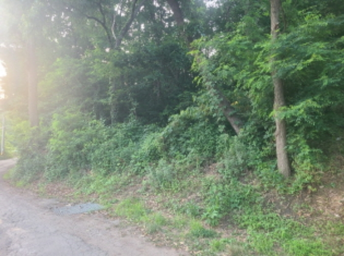 물건 사진 18