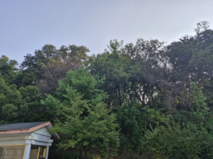 물건 사진 29