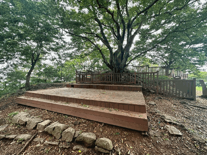 물건 사진 56