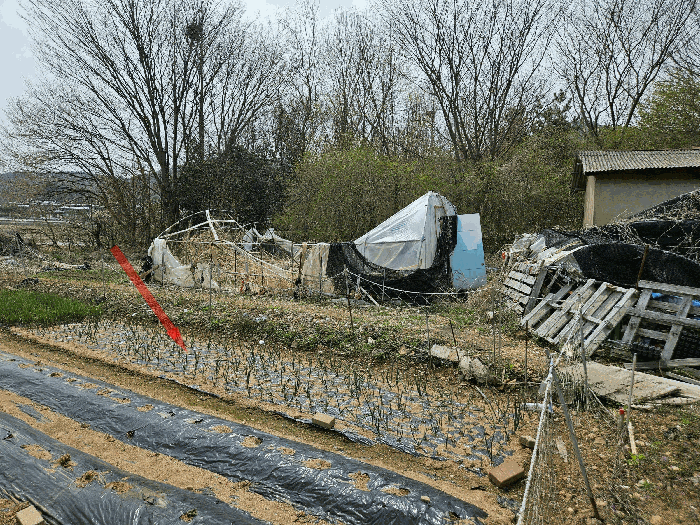물건 사진 12