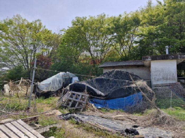 물건 사진 7