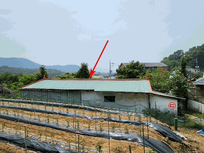 물건 사진 16
