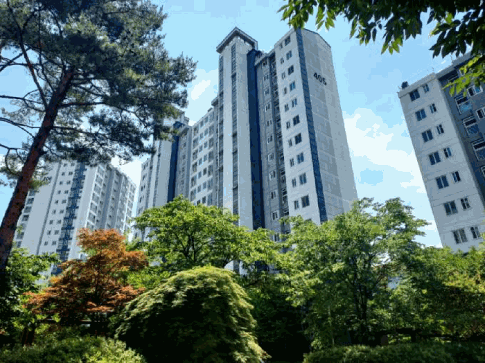 물건 사진 6