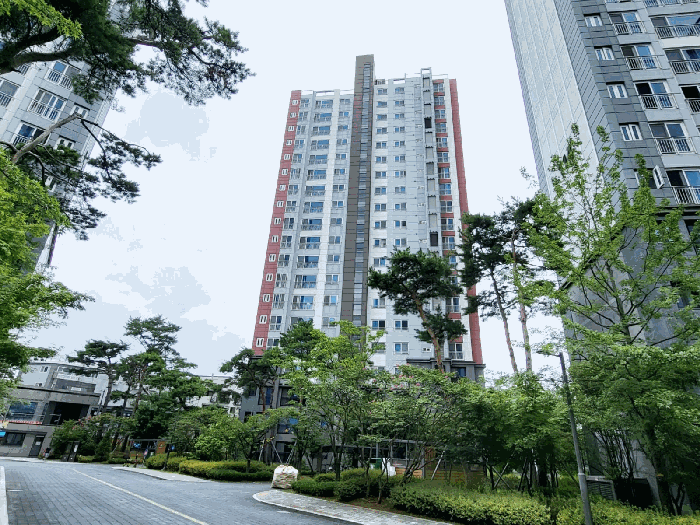 물건 사진 6
