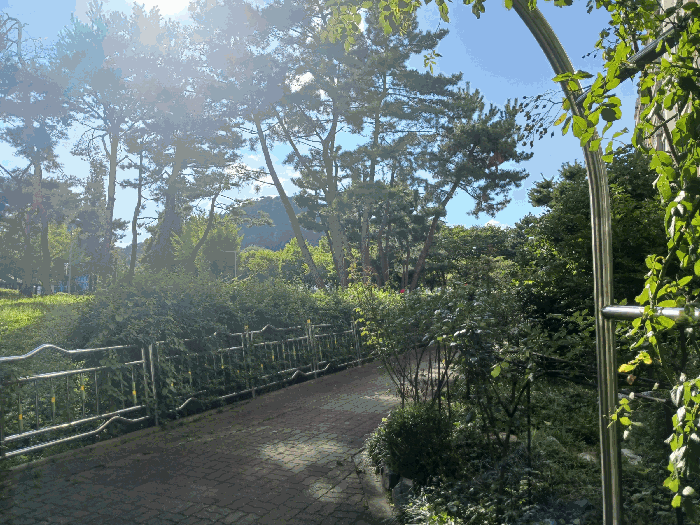 물건 사진 17