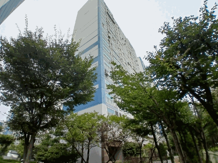 물건 사진 11