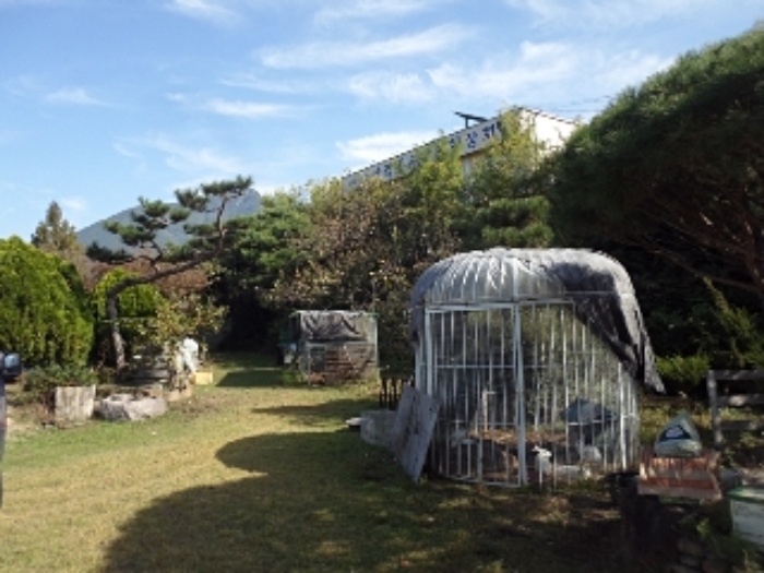 물건 사진 5