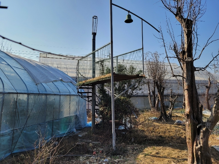 물건 사진 32