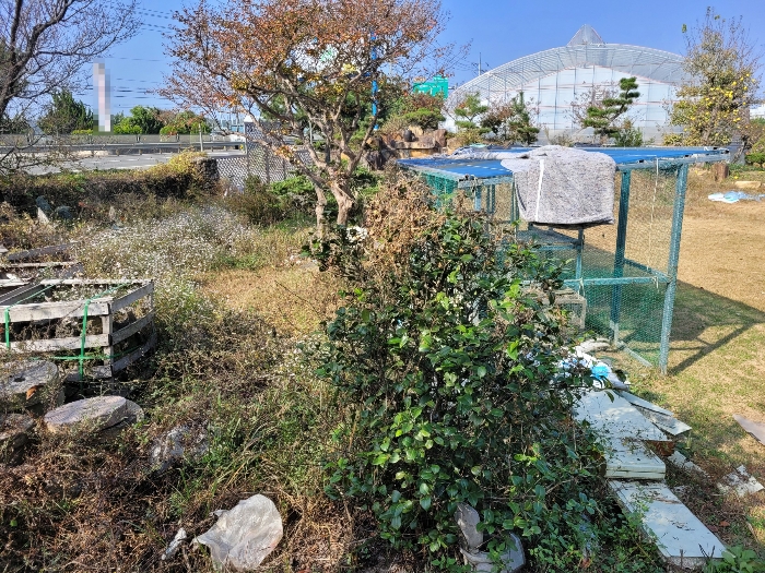 물건 사진 28