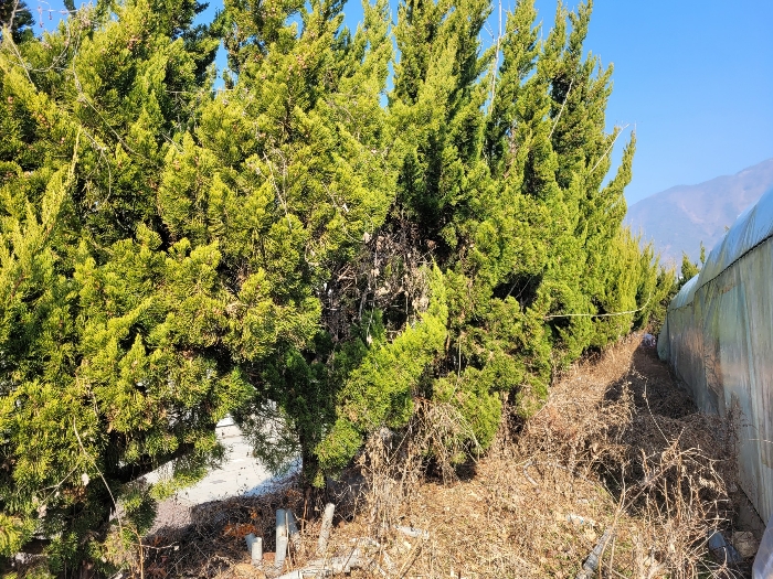 물건 사진 68