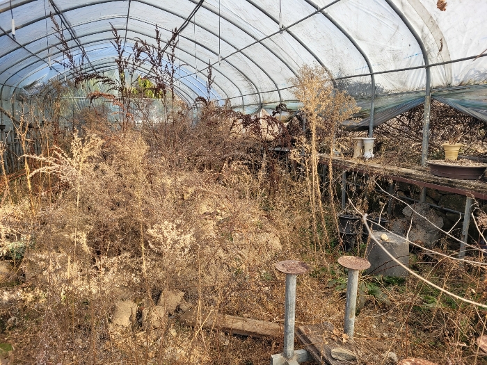 물건 사진 41