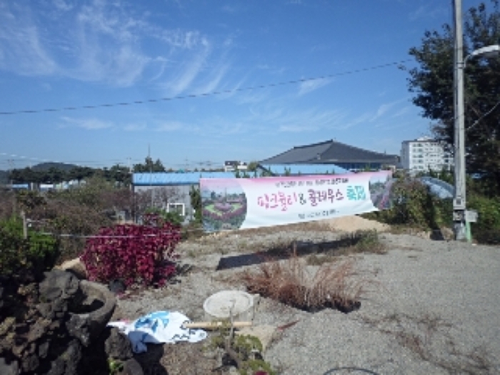 물건 사진 12