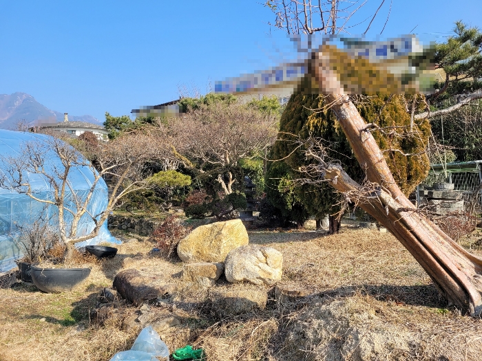 물건 사진 61