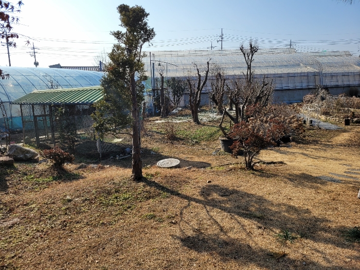 물건 사진 31