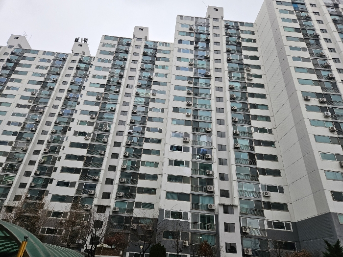 물건 사진 7