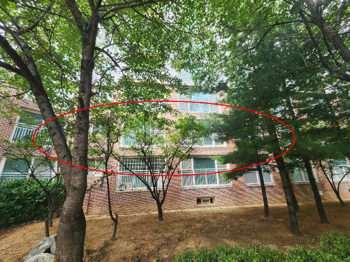 물건 사진 17