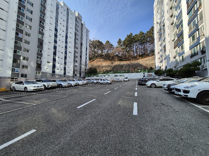 물건 사진 12