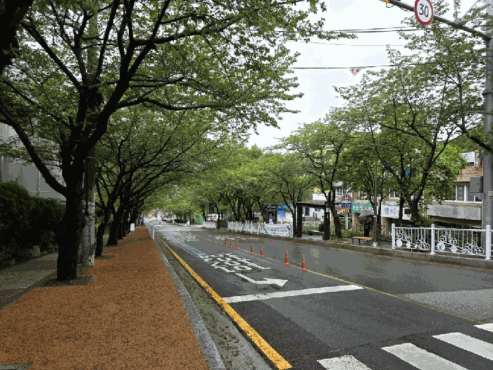 물건 사진 12