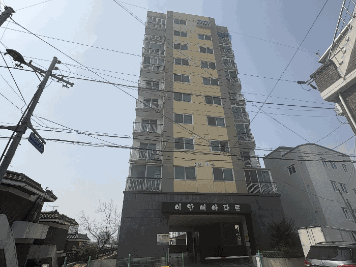 물건 사진 11