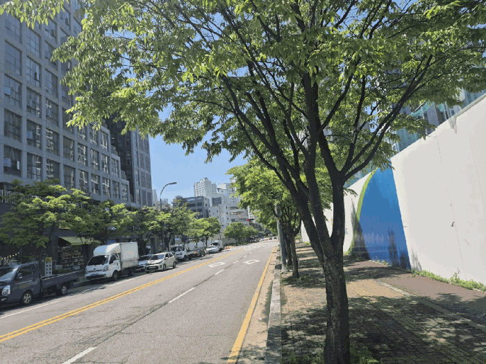 물건 사진 17